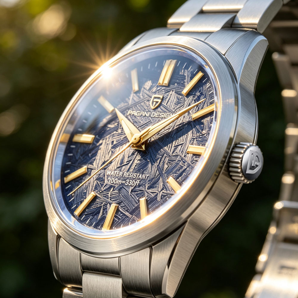 PAGANI DESIGN 40MM Men Quartz  - Jewelry For Watches recension och pris